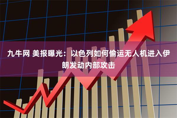 九牛网 美报曝光：以色列如何偷运无人机进入伊朗发动内部攻击