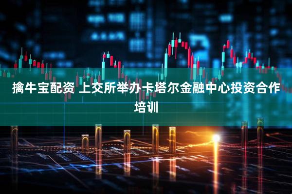 擒牛宝配资 上交所举办卡塔尔金融中心投资合作培训