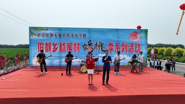 中华金配 “桃”醉四方染云裳——松原市宁江区伯都乡杨家村乡村振兴侧记