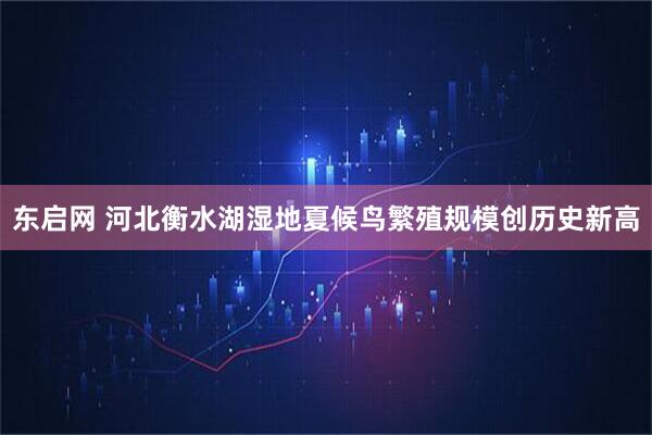 东启网 河北衡水湖湿地夏候鸟繁殖规模创历史新高