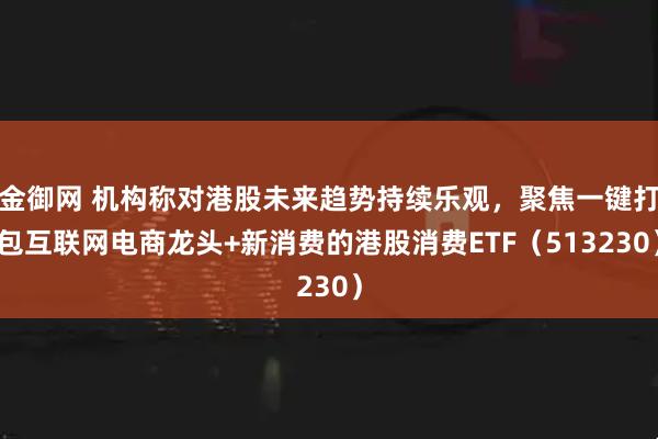 金御网 机构称对港股未来趋势持续乐观，聚焦一键打包互联网电商龙头+新消费的港股消费ETF（513230）