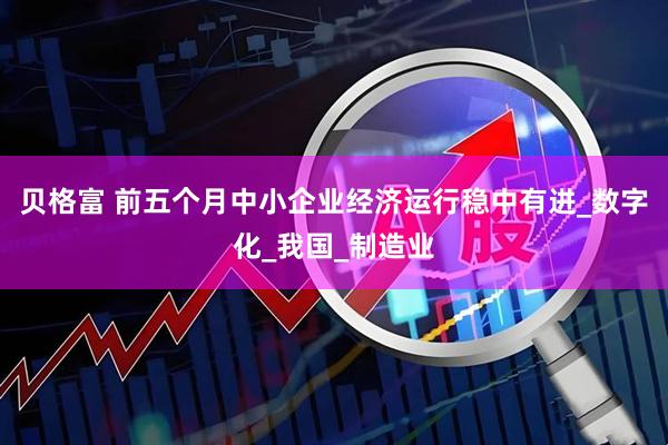 贝格富 前五个月中小企业经济运行稳中有进_数字化_我国_制造业
