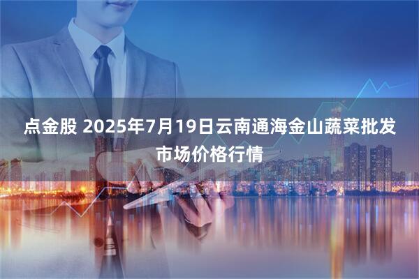 点金股 2025年7月19日云南通海金山蔬菜批发市场价格行情