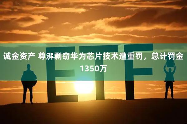 诚金资产 尊湃剽窃华为芯片技术遭重罚，总计罚金1350万
